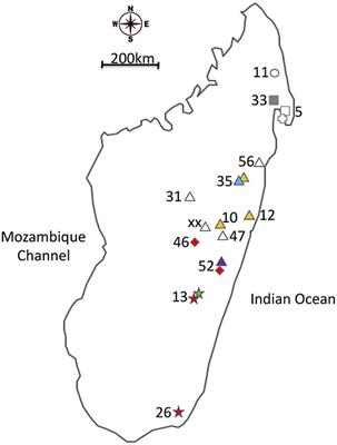 High Wolbachia Strain Diversity in a Clade of Dung Beetles Endemic to Madagascar